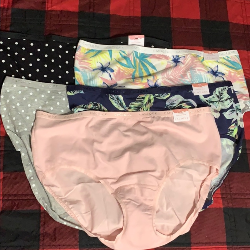 Lane Bryant cotton high-leg brief size 14/16